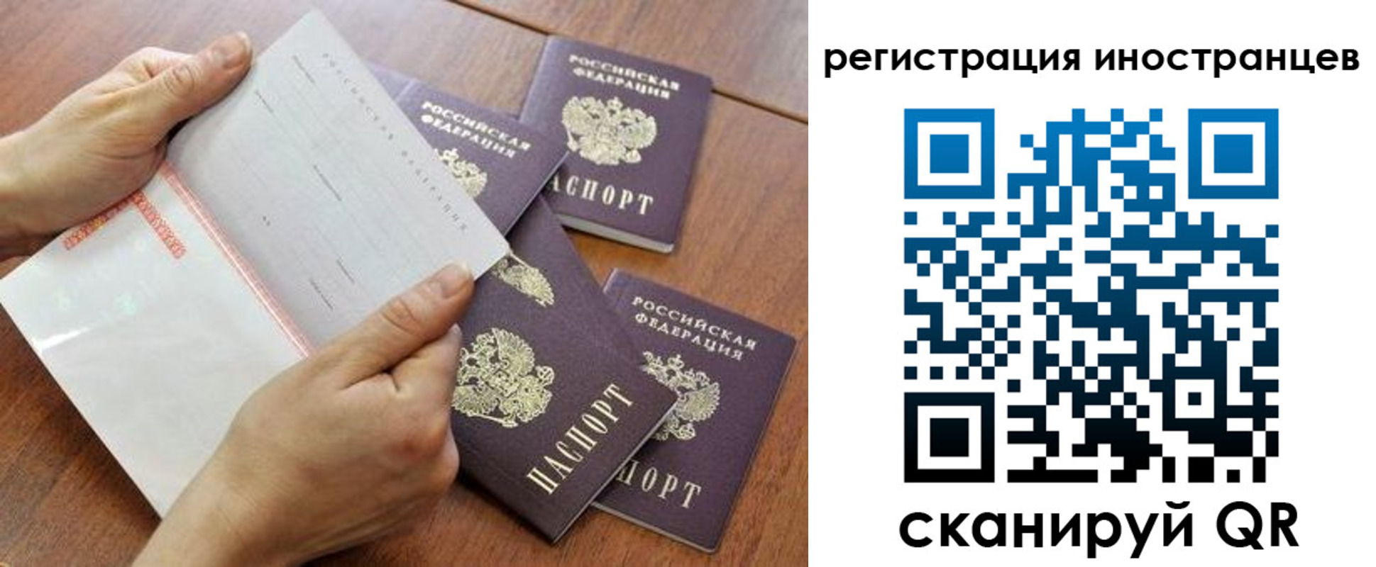 прописка поиск в Алагире